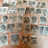 Fotografie degli schizzi di F.Fеdorovskij 1946.