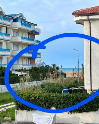 Gabbiano bianco dal 29 settembre in poi