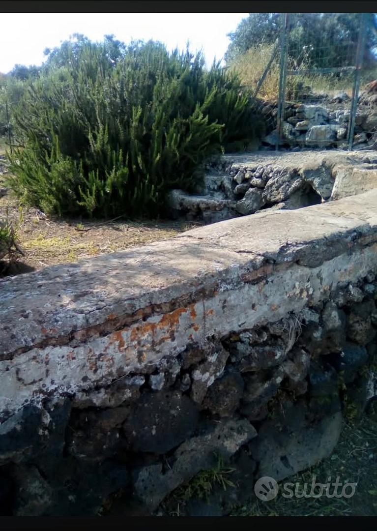 Terreno agricolo - Altro