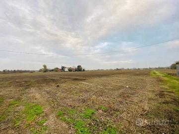 Terreno di 15000 m² a Ronco all'Adige