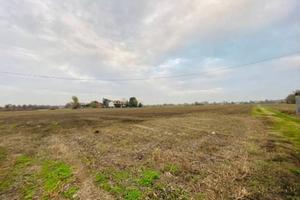 Terreno di 15000 m² a Ronco all'Adige