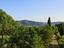 Immagine 22