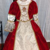 vestito di carnevale 5/6anni