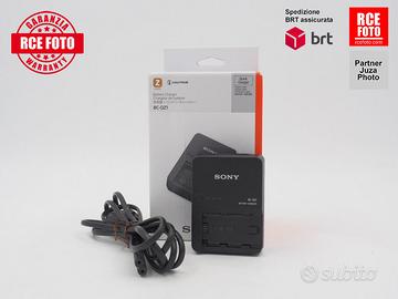 Sony Battery Charger BC-QZ1