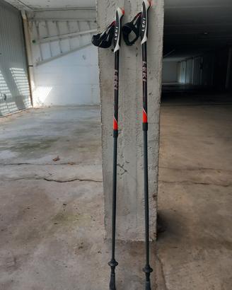Bastoncini Nordic Walking