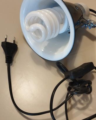Lampada UVB