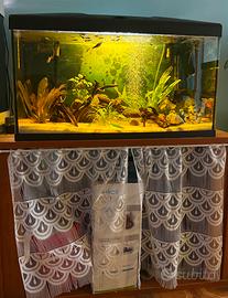 Acquario 100 litri