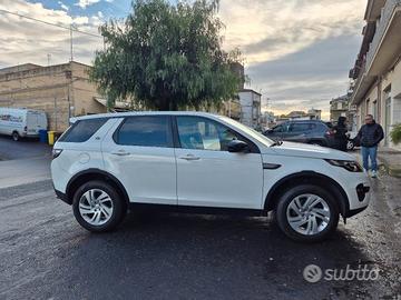 discovery sport