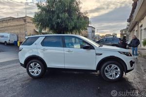 discovery sport