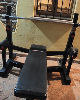 panca olimpica barbarian line no technogym 