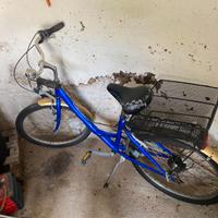 Bicicletta donna con cestino - city bike