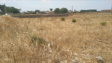 Terreno agricolo, vicino l'arenella