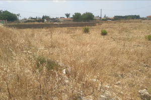 Terreno agricolo, vicino l'arenella