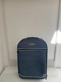 Trolley piccolo Carpisa grigio 50x35