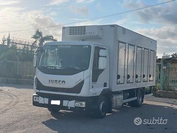 EUROCARGO 80E19 E6 CASSA FRIGO 5.40 FRC 09-2028 (2