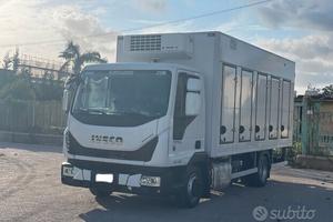 EUROCARGO 80E19 E6 CASSA FRIGO 5.40 FRC 09-2028 (2