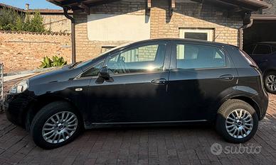 Fiat Punto Natural Power Street NEOPATENTATI