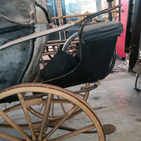Carrozza Park phaeton