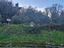 Immagine 28