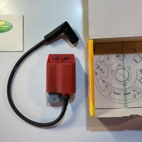 Centralina Top Performance anticipo variabile