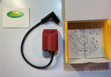 Centralina Top Performance anticipo variabile