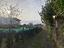 Immagine 26