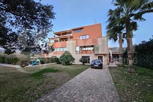 Appartamento Grisolia [13VRG]