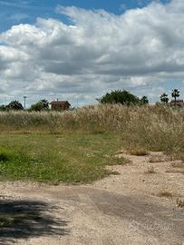 Appezzamento di terreno