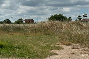 Appezzamento di terreno