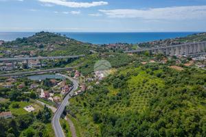 TER. AGRICOLO A IMPERIA