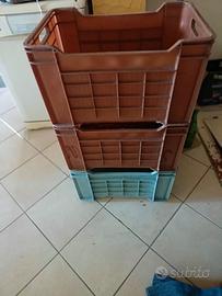 Cassette per uva