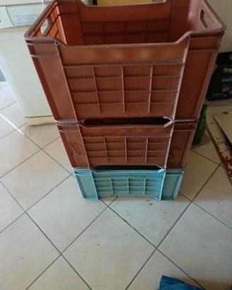 Cassette per uva