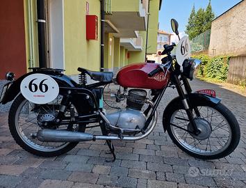 Gilera Altro modello - 1955