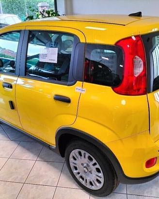 Fiat Panda Pandina 1.0 65 CV Hybrid POP FINANZ.+ R