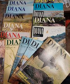 Riviste del Cacciatore Diana anni 1973-74