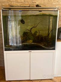 Acquario per pesci