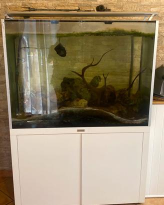 Acquario per pesci