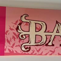 Bam Margera Element Pink Bat (2003) Skateboard