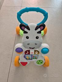 primi passi zebra