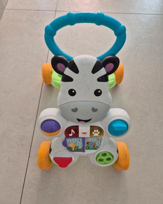 primi passi zebra