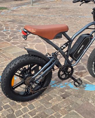 fat bike 48 volt 750 watt