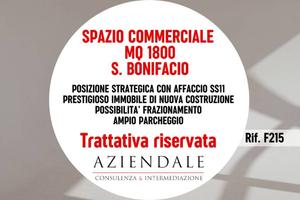 Immobile di 1800 m² con 1 locale a San Bonifacio
