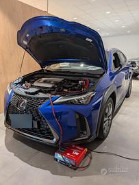 LEXUS UX 250h F Sport