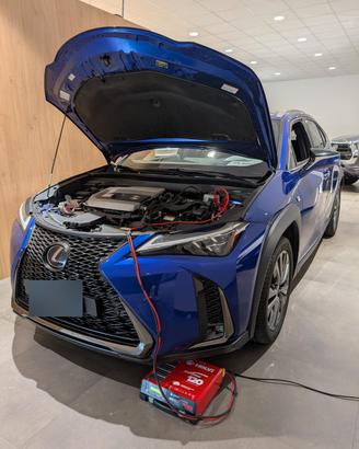 LEXUS UX 250h F Sport