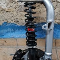 forcella px 