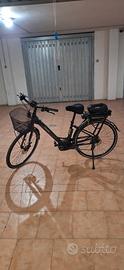 bici elettrica assistita bianchi long island