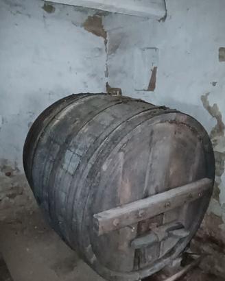 Botte in legno per vino