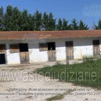 Azienda Agricola Fauglia [A4285583]