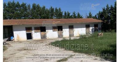 Azienda Agricola Fauglia [A4285583]