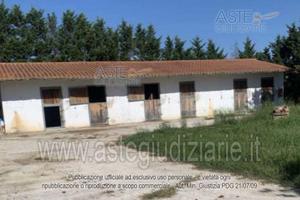 Azienda Agricola Fauglia [A4285583]